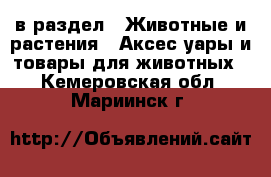  в раздел : Животные и растения » Аксесcуары и товары для животных . Кемеровская обл.,Мариинск г.
